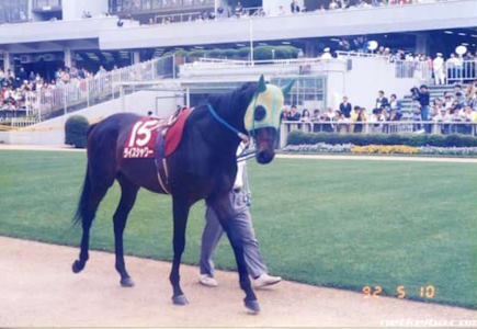 Rice Shower at the Japanese Derby