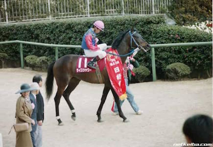 Rice Shower at the Nikkei Sho